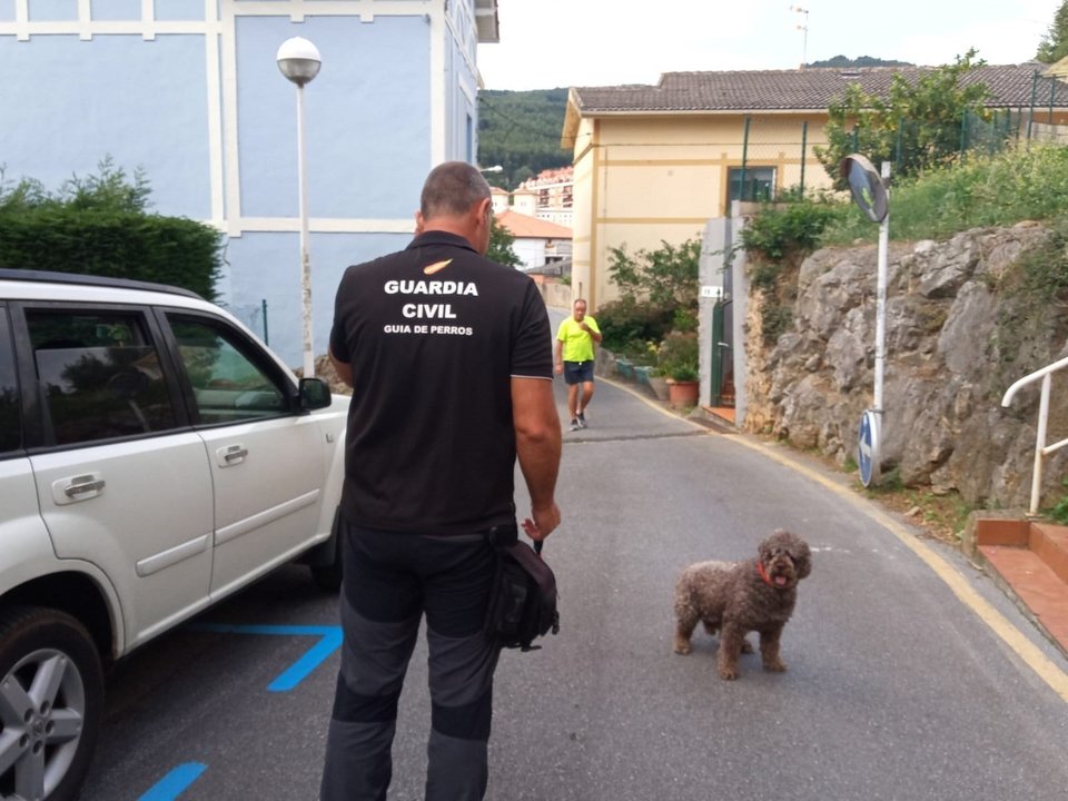El perro 'Marley' en inspección policial en Castro Urdiales