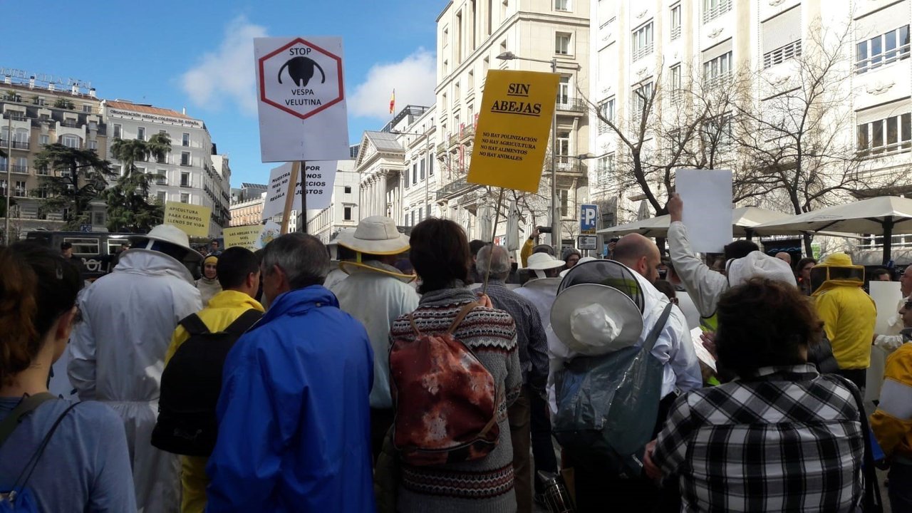 Medio millar de apicultores se manifiestan en Madrid para defender al sector y el futuro de las abejas.