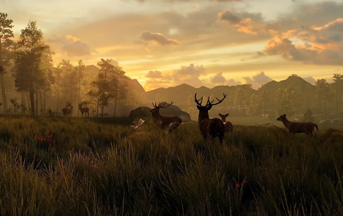 Ndp Y Fotos La Revista Forbes Elije &lsquo;Memoria: Historias De La Garma&rsquo;, Entre Las 50 Mejores Experiencias Del Mundo En Realidad Virtual