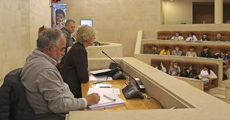 La consejera en el pleno de Aldeas Infantiles