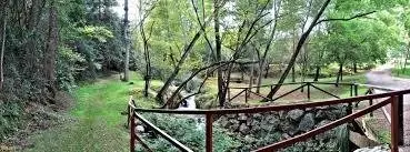 WhatsApp Image 2020-02-11 at 17.46.53