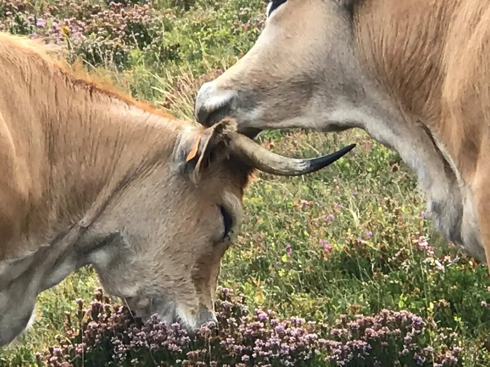 WhatsApp Image 2020-02-12 at 15.01.47