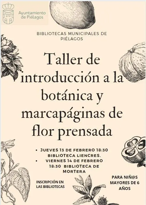 talleres bibliotecas pi&eacute;lagos
