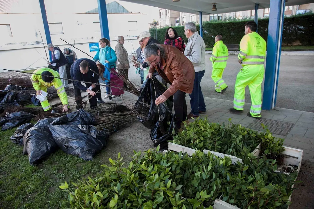 Reparto &aacute;rboles campa&ntilde;a repoblaci&oacute;n