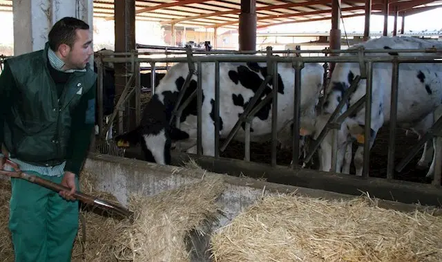 fotonoticia_20150824144308_640