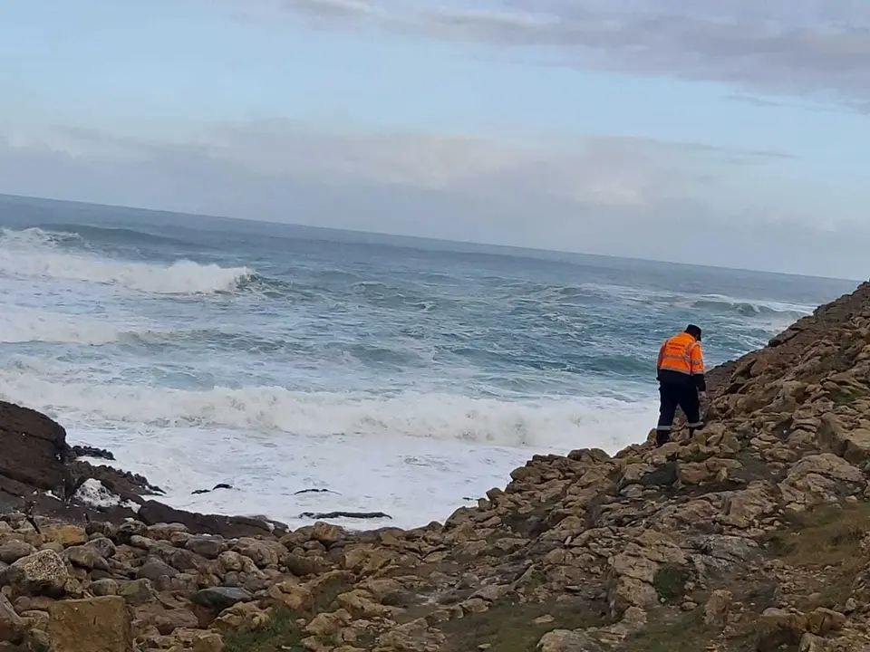 WhatsApp Image 2020-02-18 at 10.00.01