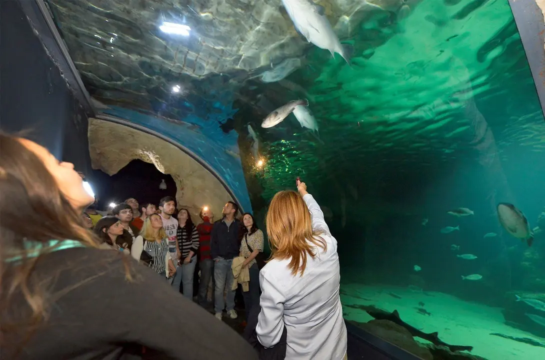 Museo Mar&iacute;timo del Cant&aacute;brico (MMC)