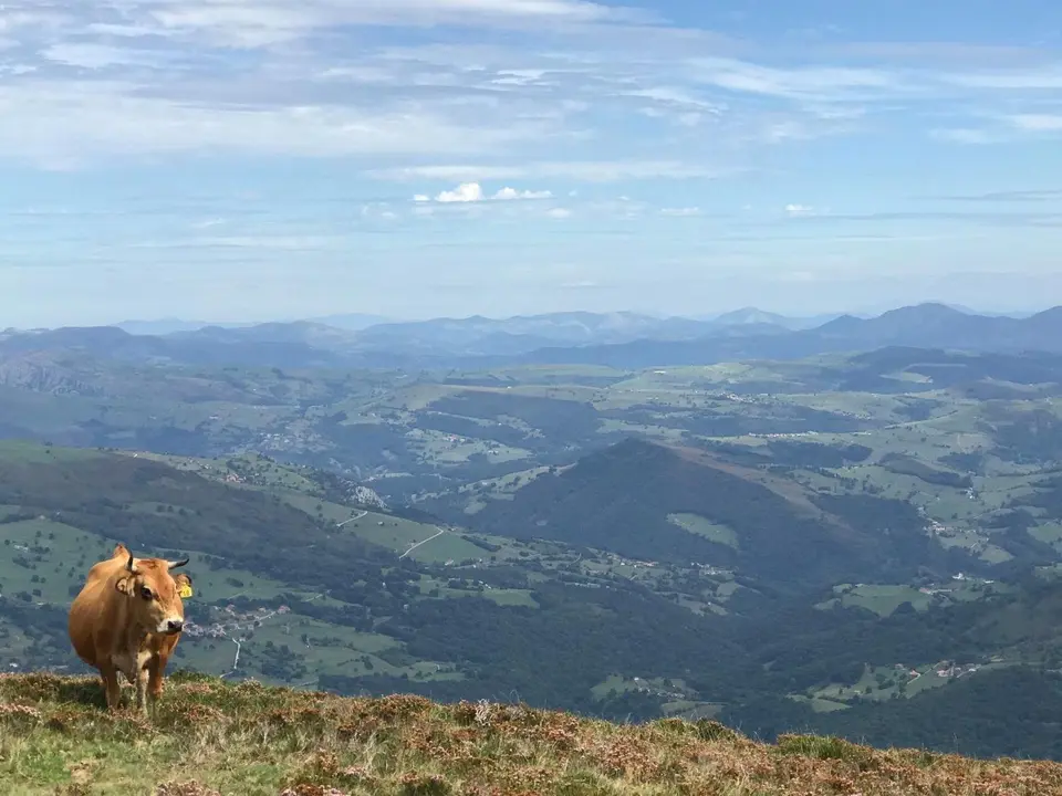 WhatsApp Image 2020-02-18 at 20.17.25