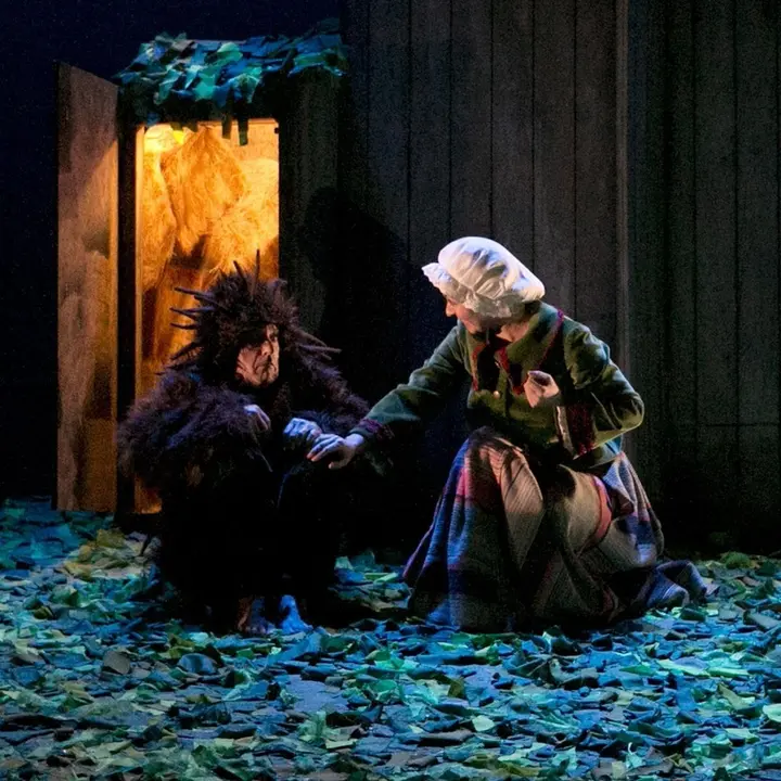 El ni&ntilde;o erizo