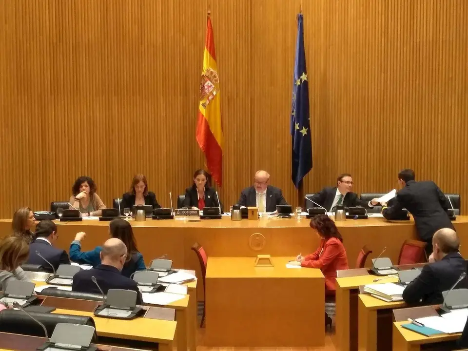 La ministra de Industria, Comercio y Turismo, Reyes Maroto, en lacomisi&oacute;n del Congreso para presentar las principales l&iacute;neas de actuaci&oacute;n de su cartera