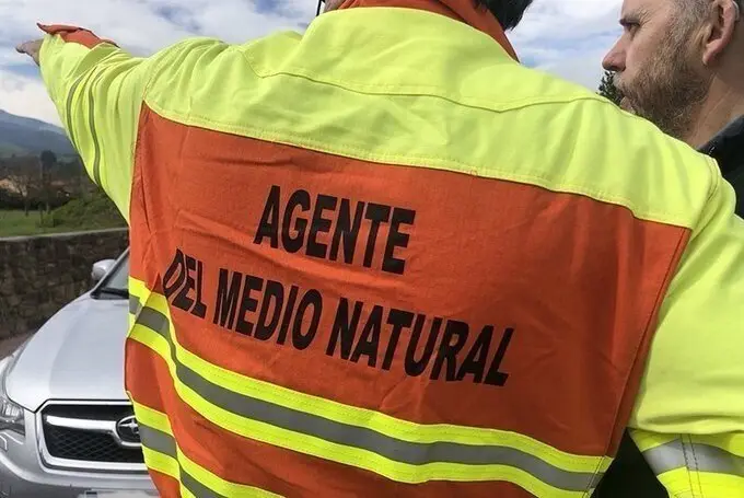 Efectivos de lucha contra los incendios forestales