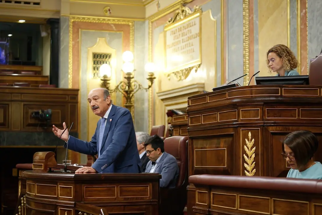 Maz&oacute;n ser&aacute; portavoz del Grupo Mixto en las comisiones de Hacienda y Pol&iacute;tica Territorial del Congreso