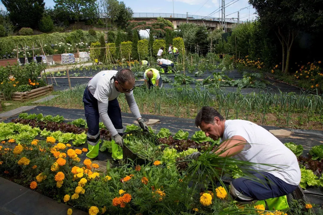 Centro de Formaci&oacute;n de Camargo