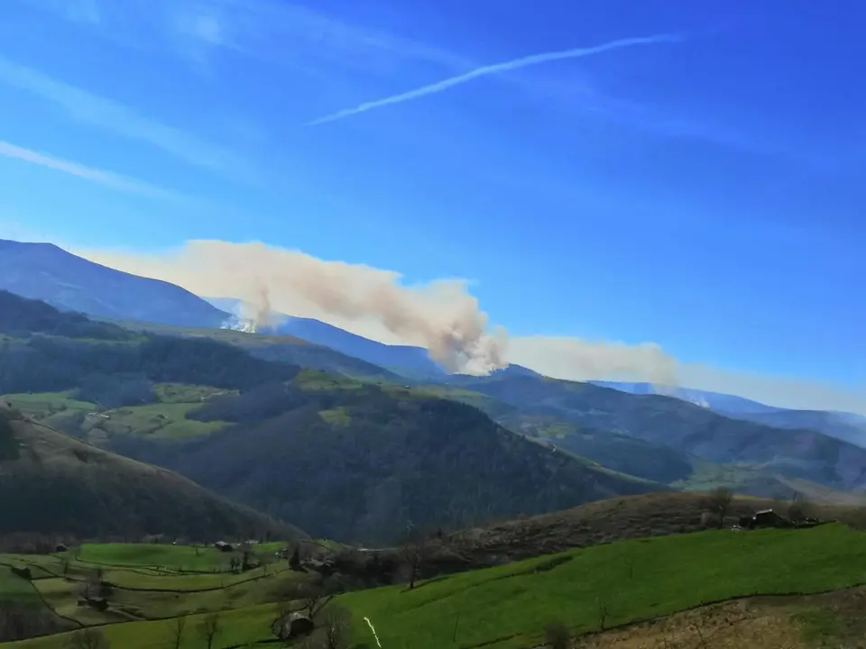 8E80B81B-0FE4-47D5-B38F-2DE74F737474