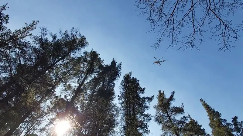 Incendios forestales