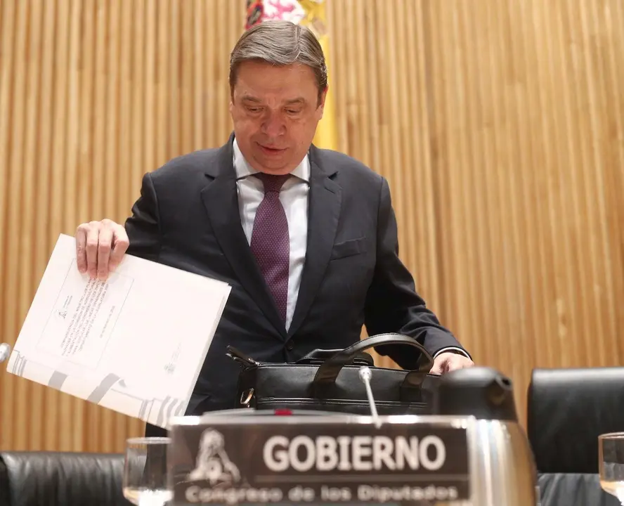 El ministro de Agricultura, Pesca y Alimentaci&oacute;n, Luis Planas, momentos antes de su comparecencia en la Comisi&oacute;n de Agricultura en el Congreso
