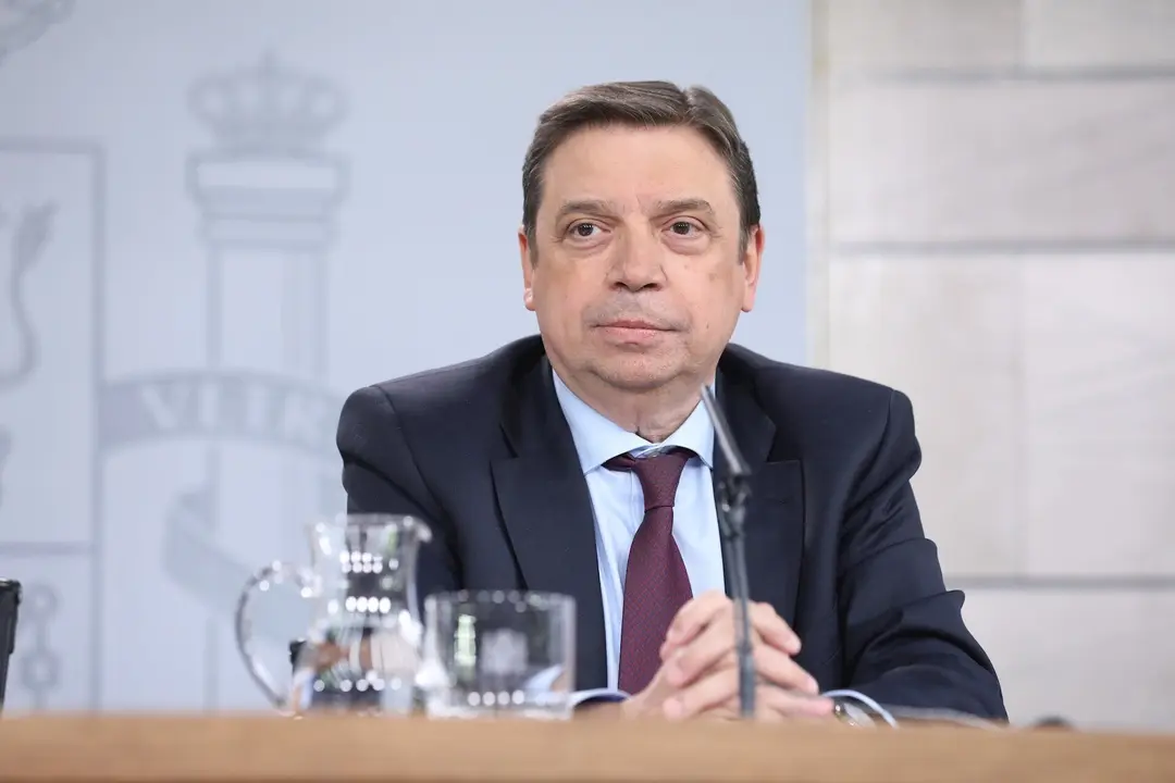 El ministro de Agricultura, Pesca y Alimentaci&oacute;n, Luis Planas