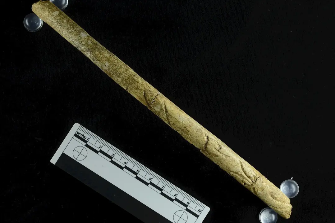 Ndp Y Foto Pieza Del Mes Mupac