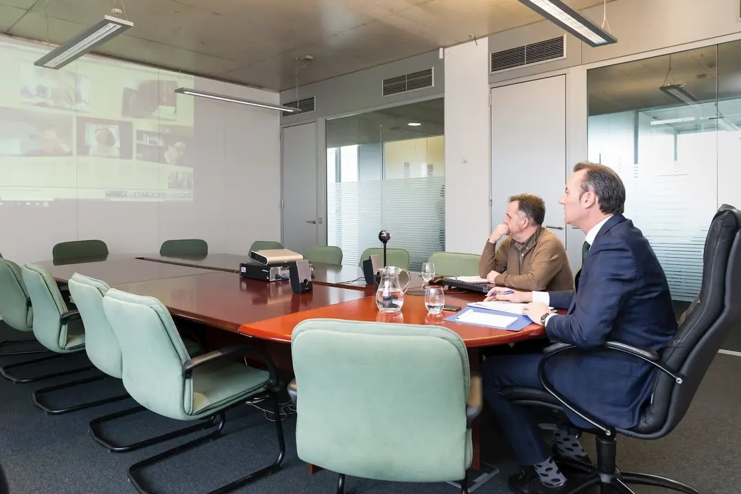 El consejero de Medio Ambiente, Guillermo Blanco, asiste por videoconferencia al Consejo