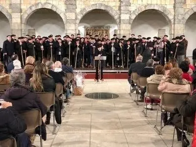 Marceros en el Parlamento