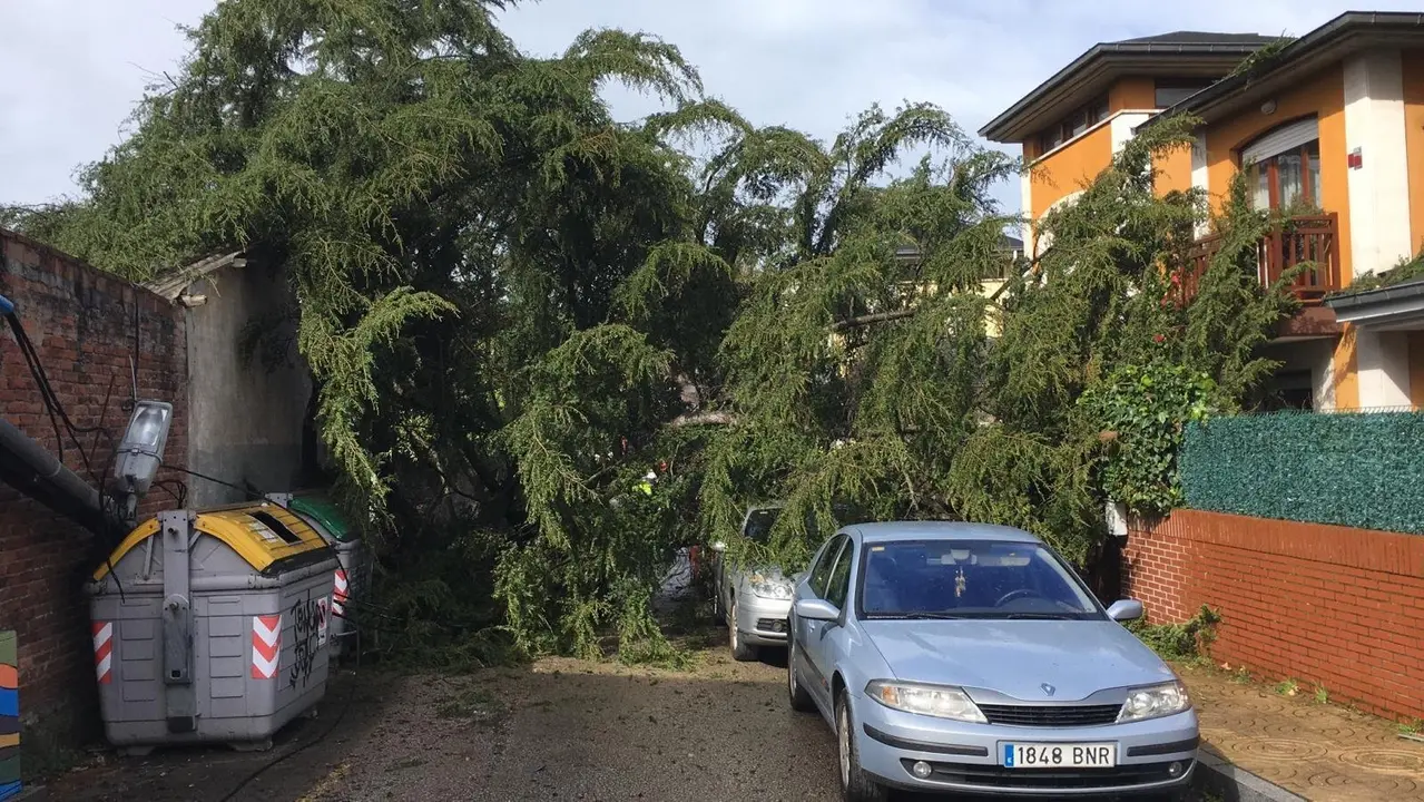 PHOTO-2020-03-06-15-06-42 2