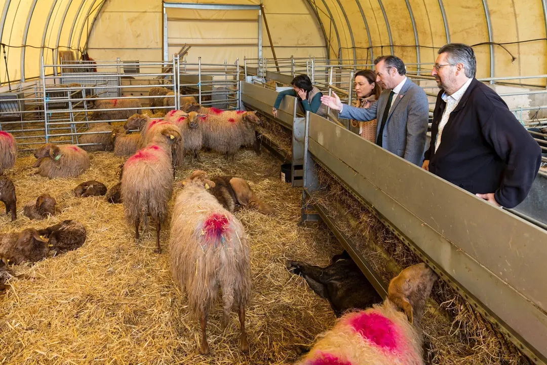 El consejero de Desarrollo Rural, Ganader&iacute;a, Pesca, Alimentaci&oacute;n y Medio Ambiente, Guillermo Blanco, en la Finca La Jerrizuela
