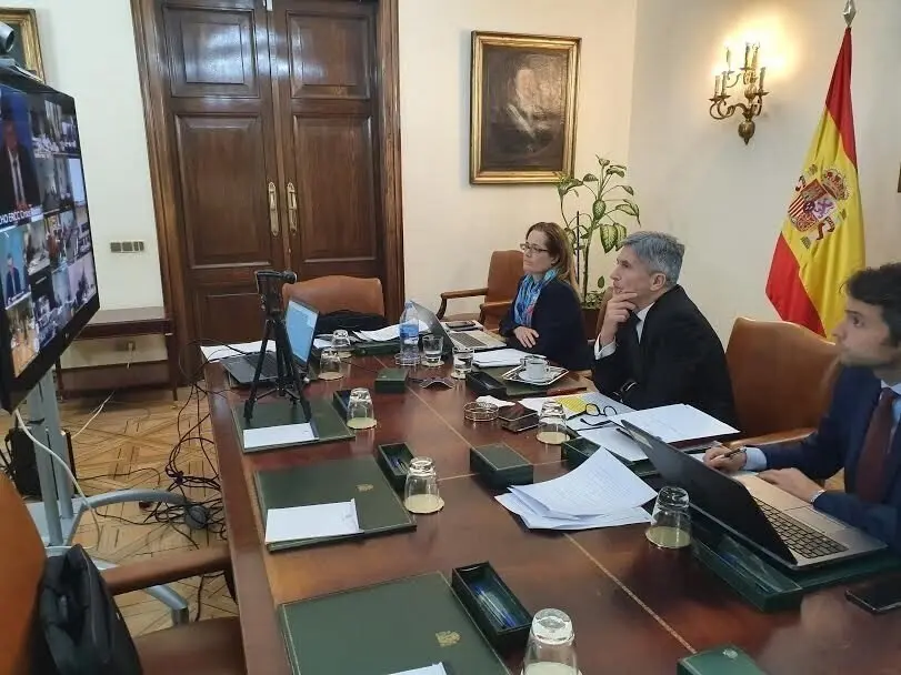 El ministro del Interior, Fernando Grande-Marlaska, en la reuni&oacute;n telem&aacute;tica donde se han restablecido los controles de frontera terrestre por el Covid-19