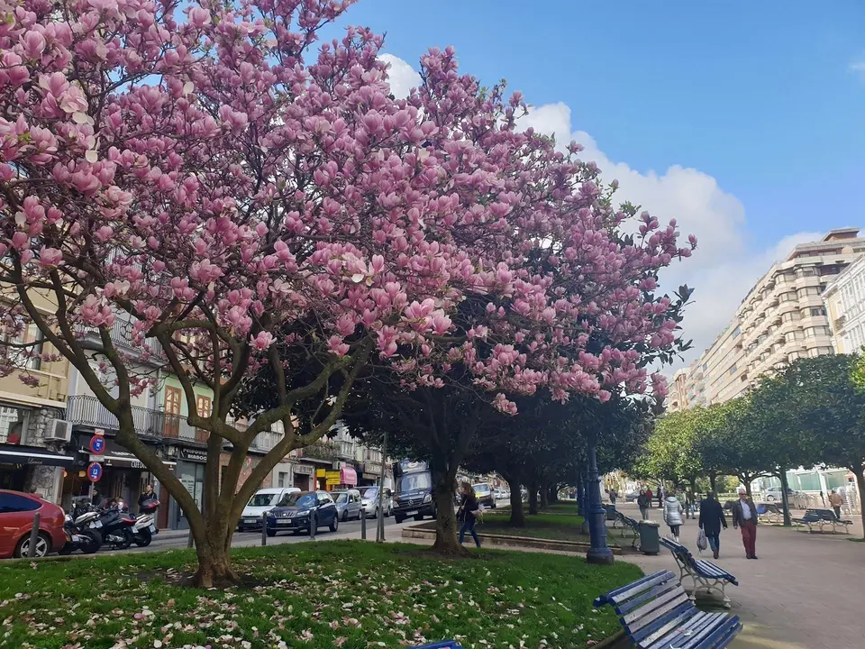 Primavera en Santander