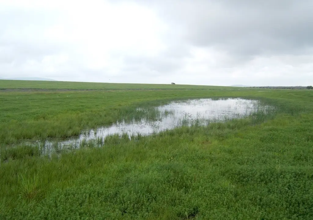 Fotos Y Nota Investigadores Evidencian El Papel De Los Humedales De La Cuenca Mediterr&aacute;nea Como Eje Vertebral Del Territorio Desde La Antig&uuml;edad