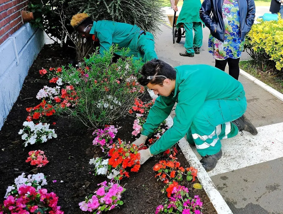Alumnos de Formaci&oacute;n Profesional haciendo pr&aacute;cticas de jardiner&iacute;a en Santander.