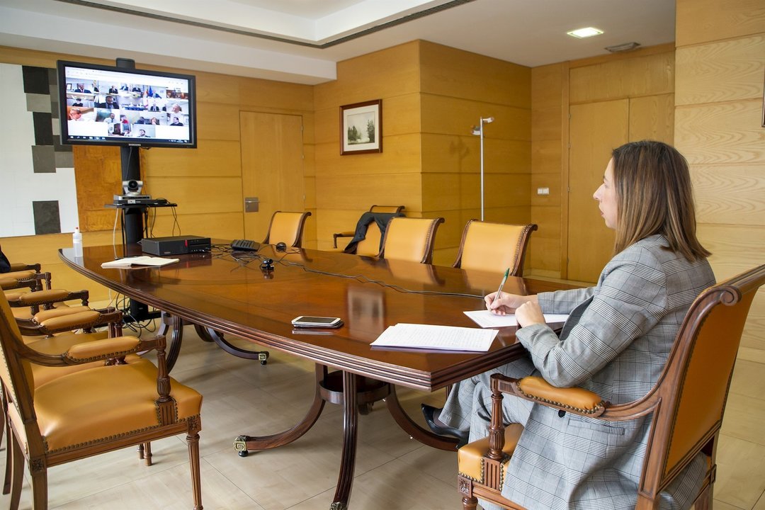 Videoconferencia Consejera Economia Ministra Hacienda