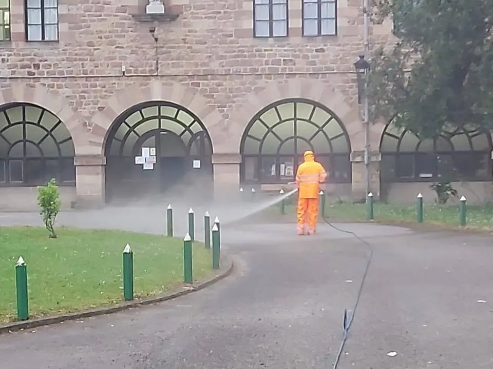 90554463_10158335895755663_6076512828368355328_n