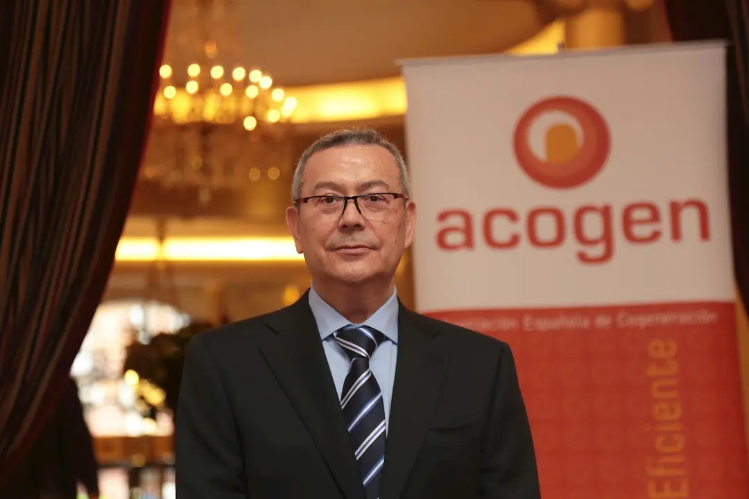 El nuevo presidente de la Asociaci&oacute;n Espa&ntilde;ola de Cogeneraci&oacute;n (Acogen), Antonio P&eacute;rez Palacio.