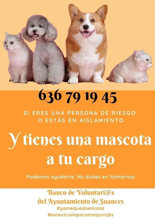 Voluntariado de cuidado de mascotas