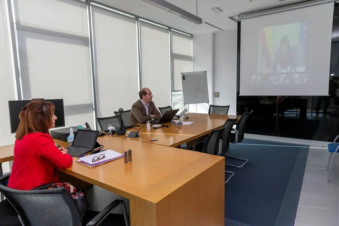 La consejera de Empleo, Ana Bel&eacute;n &Aacute;lvarex, en la videoconferencia