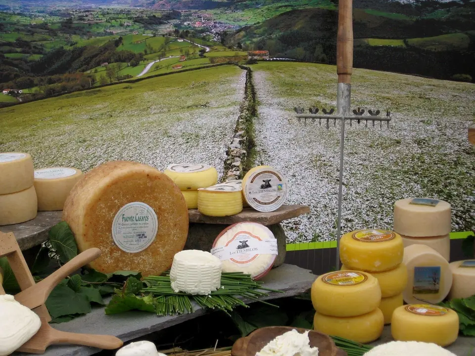 Quesos pasiegos