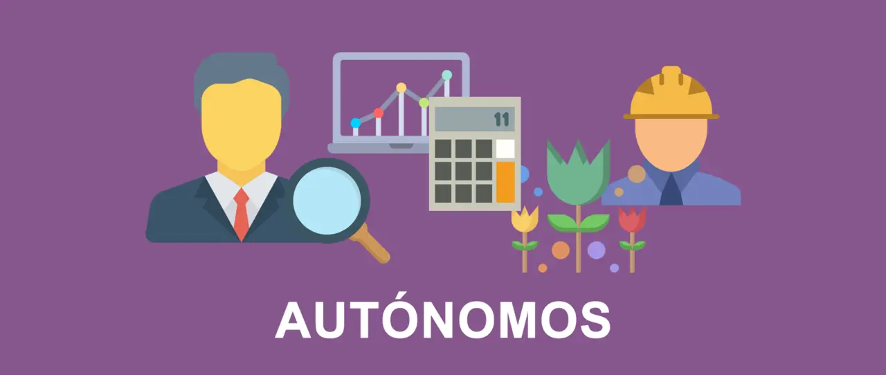 Diseño-web-Autónomos-limoncomunicacion.com_