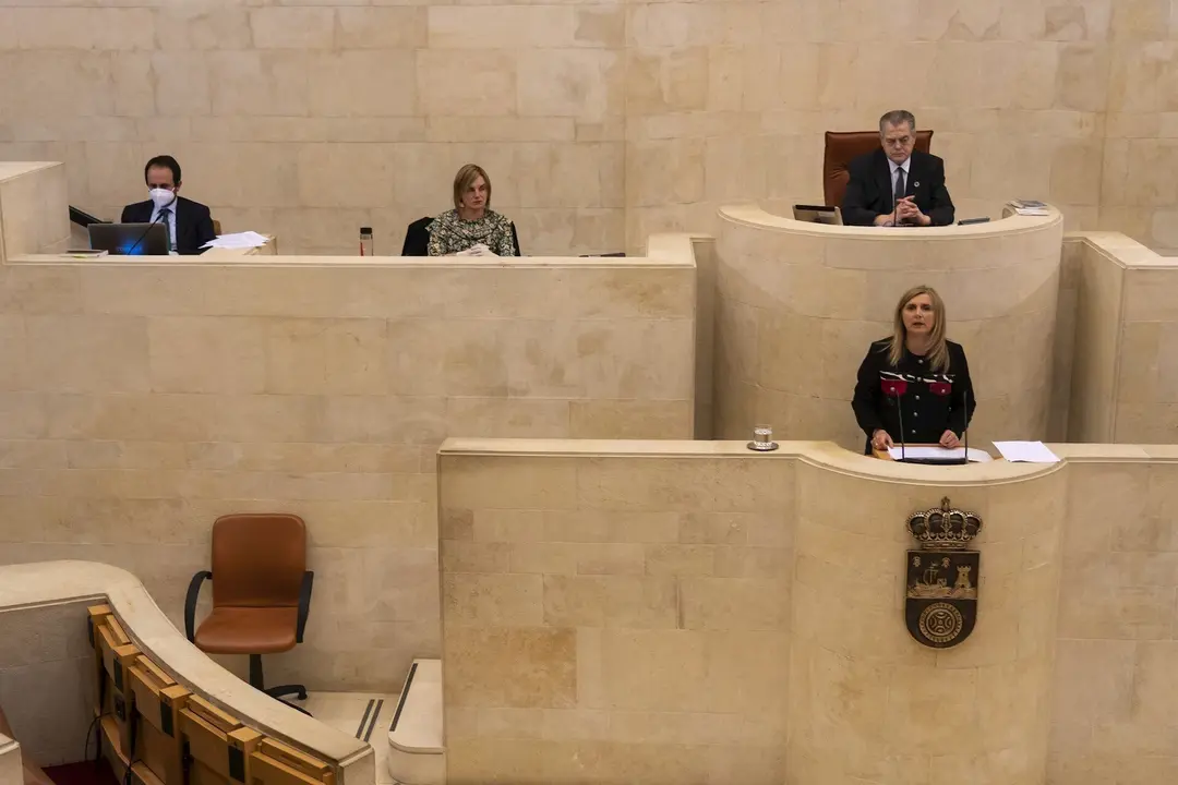 Noelia Cobo, portavoz del PSOE, en el Pleno monogr&aacute;fico sobre la epidemia de coronavirus