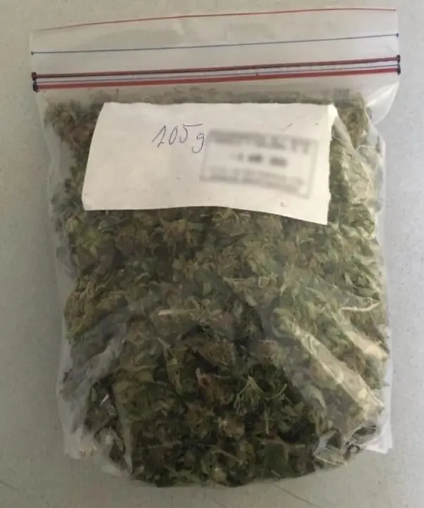 Intervenciones Relevantes