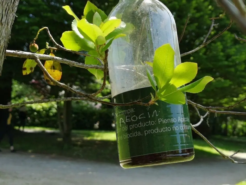 Trampas avisa asi&aacute;ticia