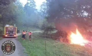 Quema de podas vegetales