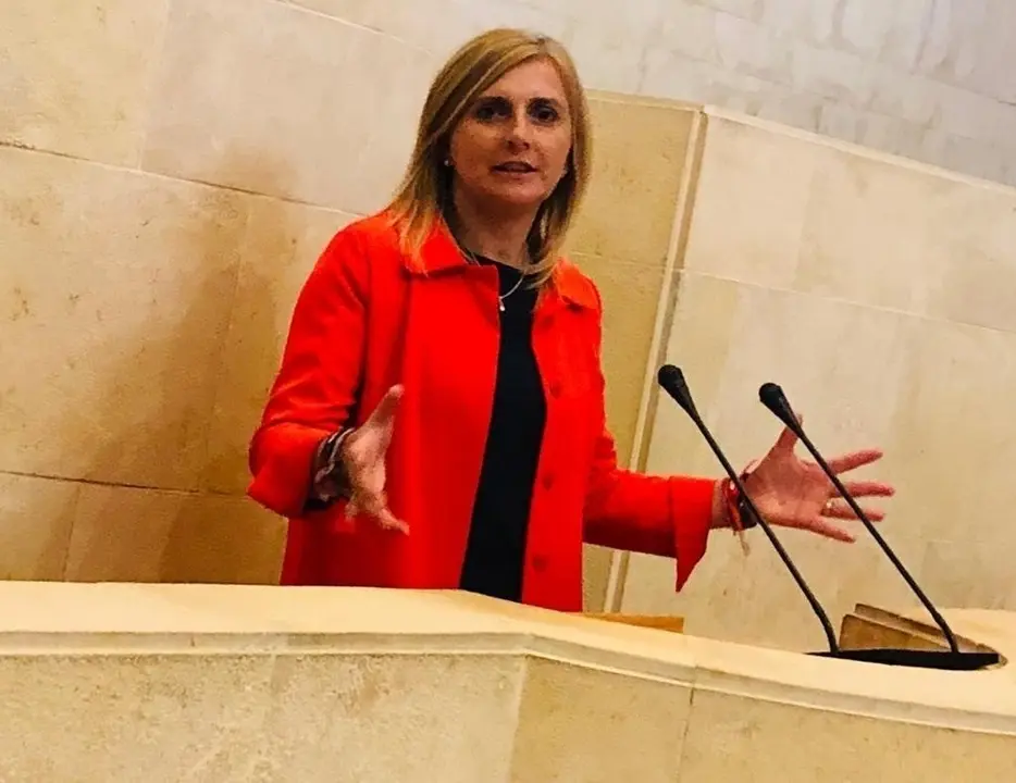 Noelia Cobo, portavoz PSOE Parlamento