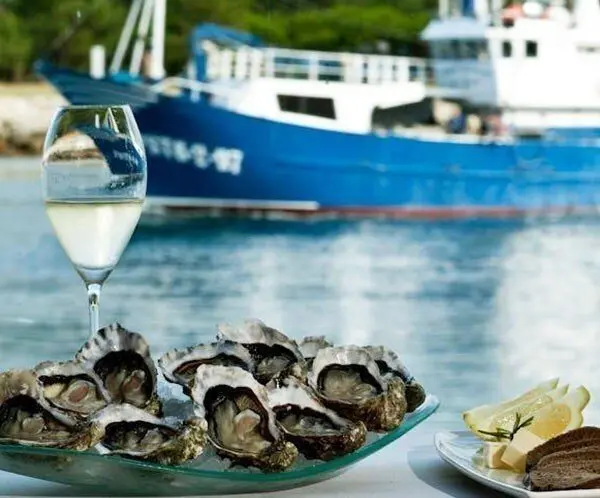 Ostras. Cocina. Gastronom&iacute;a. Productos alimenticios. 