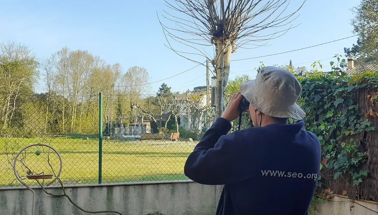 Observaci&oacute;n de aves desde casa por el confinamiento para frenar el COVID-E19