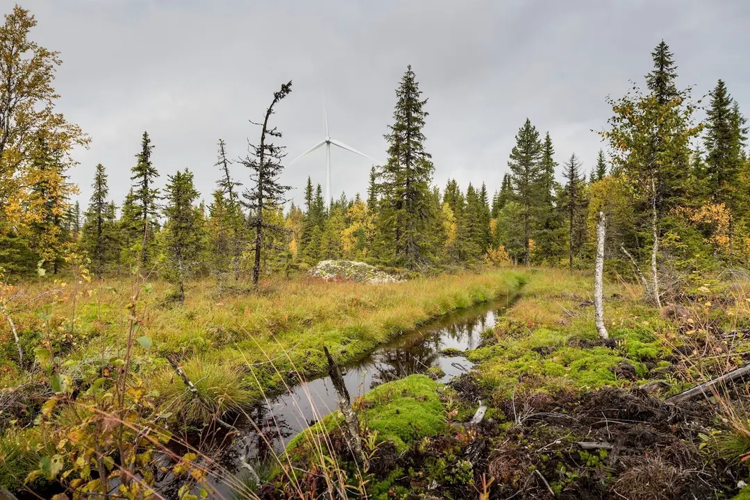 Parque e&oacute;lico de Siemens Gamesa en Suecia
