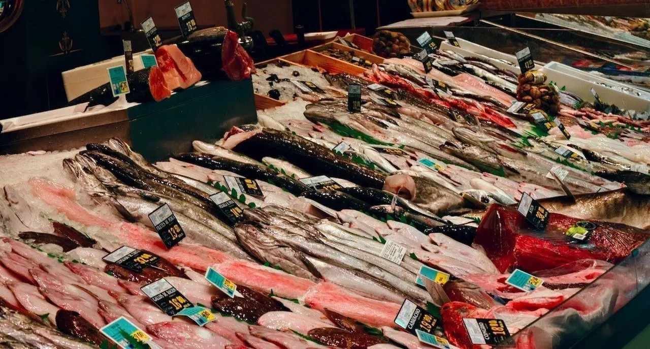 Pescado fresco en mercado