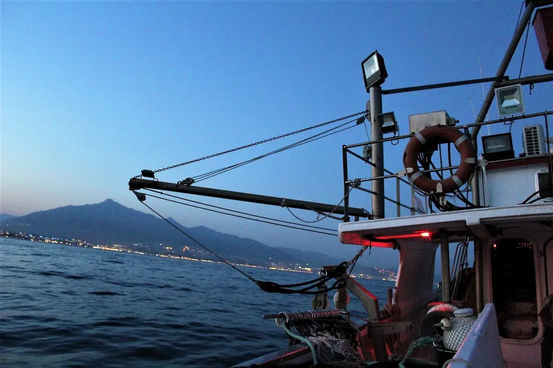 Barcos de cerco de Marbella