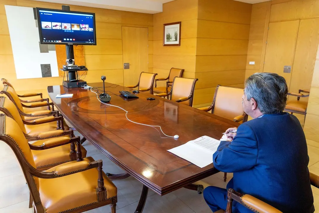 Revilla durante la reuni&oacute;n telem&aacute;tica del Consejo de Gobierno