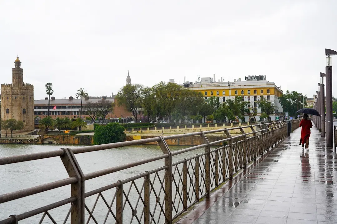 Puente de San Telmo (Sevilla) en un d&iacute;a lluvioso