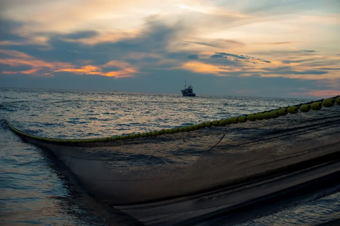 Redes de pesca en el Mar Cant&aacute;brico para recoger anchoas.